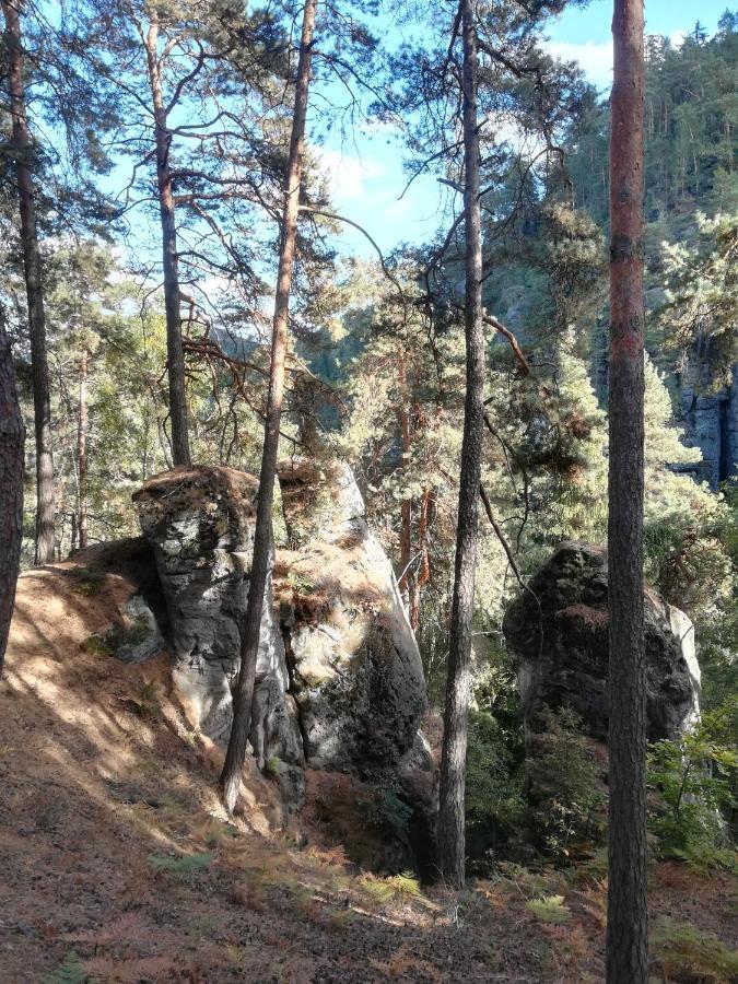 Pension Kral Яблонець-над-Нисою Екстер'єр фото